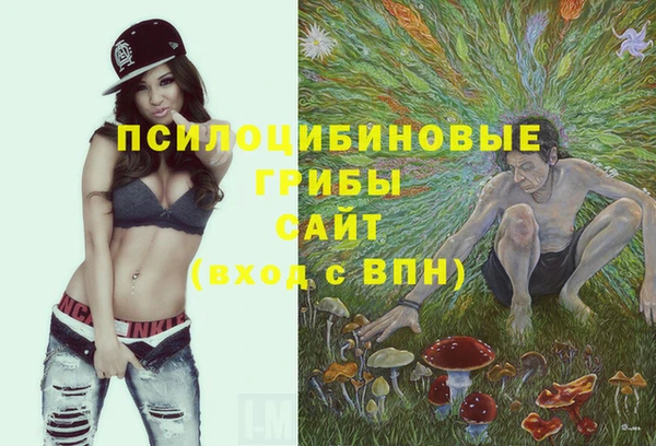 метадон Алексин
