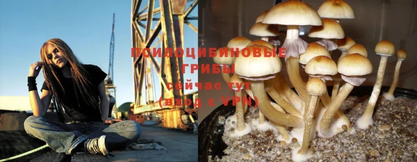 каннабис Алзамай