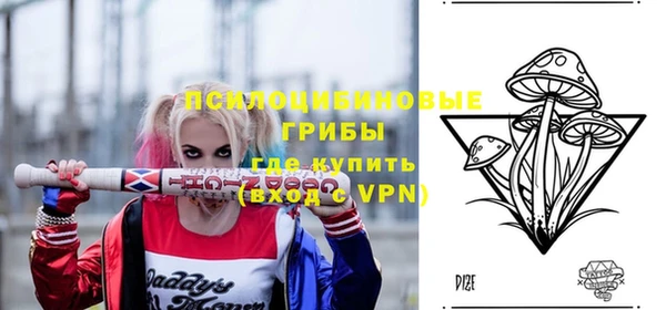 мдпв Абдулино