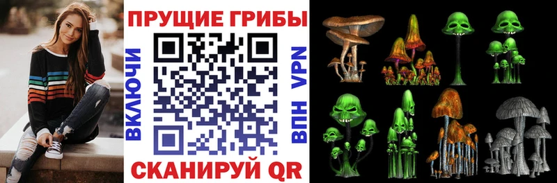 Галлюциногенные грибы GOLDEN TEACHER  закладка  Нерехта 